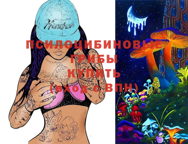 mdpv Белокуриха