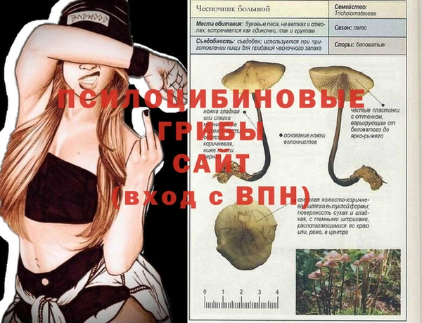прущий лед Белоозёрский