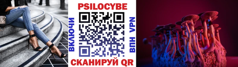 mega онион  Будённовск  Псилоцибиновые грибы ЛСД 